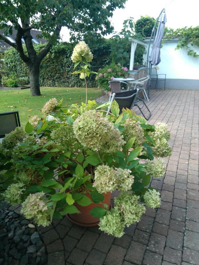 Ferienwohnung Kirschbluete Billigheim-Ingenheim 외부 사진